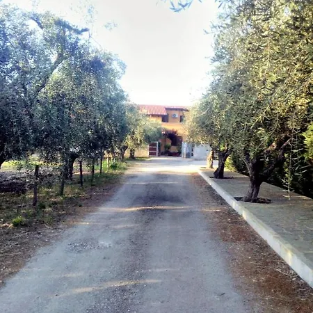 住宿加早餐酒店 La Casetta 奥托纳